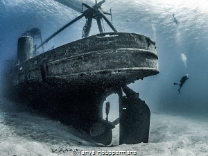 'Suspended' - A diver descends to the wreck of the Kittiw... by Tanya Houppermans 